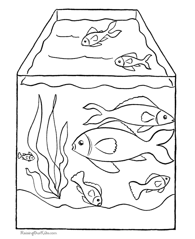 Malvorlage: Fisch (Tiere) #17139 - Kostenlose Malvorlagen zum Ausdrucken