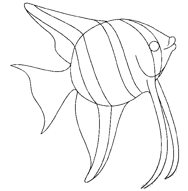 Malvorlage: Fisch (Tiere) #17143 - Kostenlose Malvorlagen zum Ausdrucken