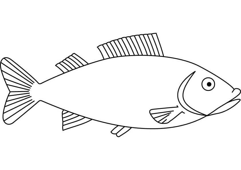 Malvorlage: Fisch (Tiere) #17171 - Kostenlose Malvorlagen zum Ausdrucken