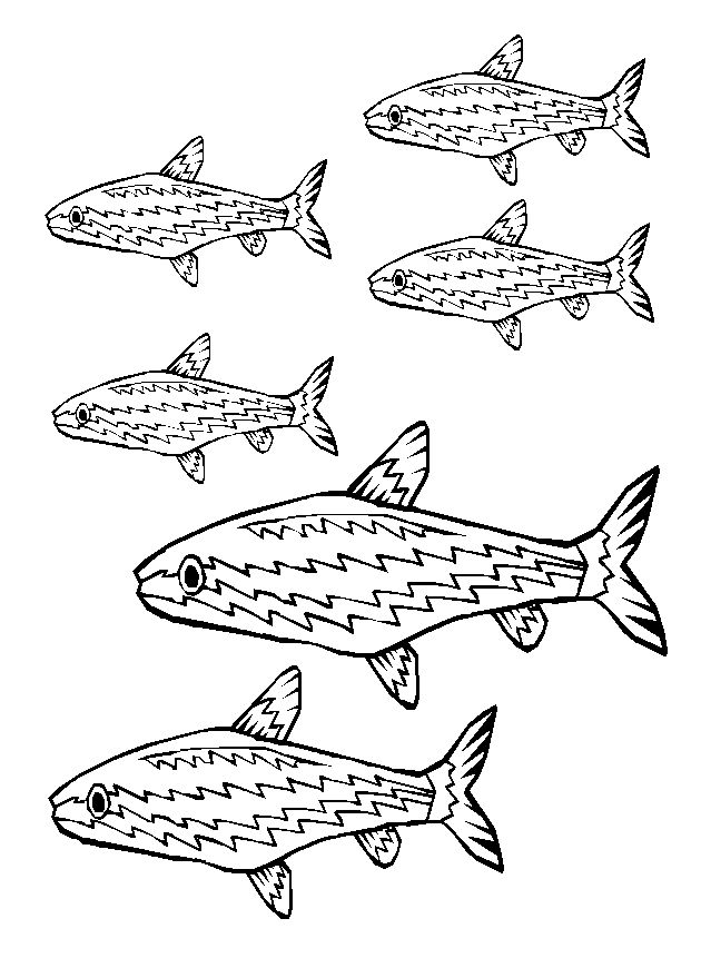 Malvorlage: Fisch (Tiere) #17179 - Kostenlose Malvorlagen zum Ausdrucken