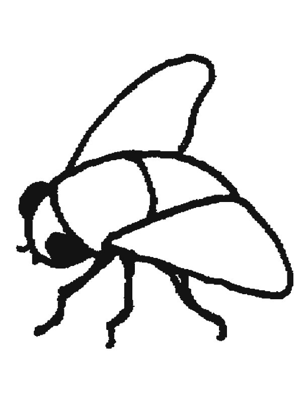 Malvorlage: Fliege (Tiere) #11124 - Kostenlose Malvorlagen zum Ausdrucken
