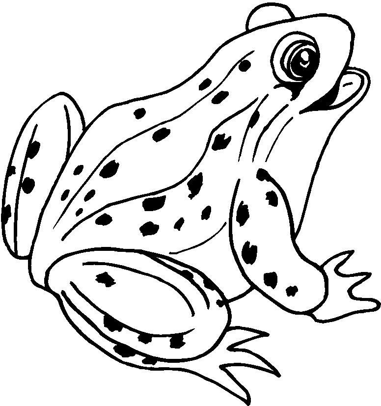 Malvorlage: Frosch (Tiere) #7570 - Kostenlose Malvorlagen zum Ausdrucken