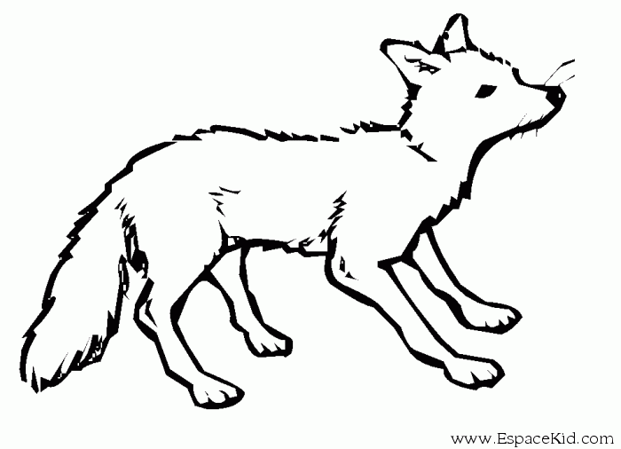 Malvorlage: Fuchs (Tiere) #14963 - Kostenlose Malvorlagen zum Ausdrucken