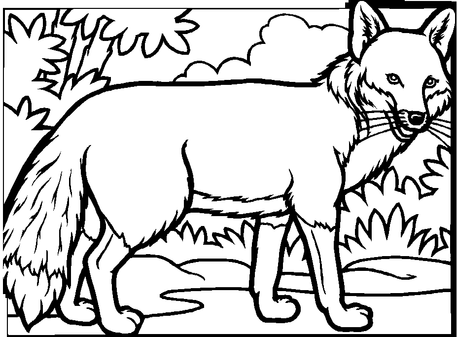 Malvorlage: Fuchs (Tiere) #14977 - Kostenlose Malvorlagen zum Ausdrucken