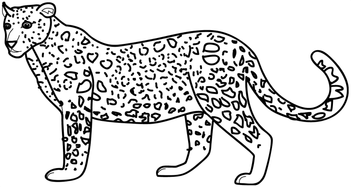 Malvorlage: Gepard (Tiere) #7869 - Kostenlose Malvorlagen zum Ausdrucken