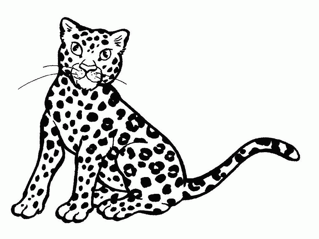 Malvorlage: Gepard (Tiere) #7872 - Kostenlose Malvorlagen zum Ausdrucken