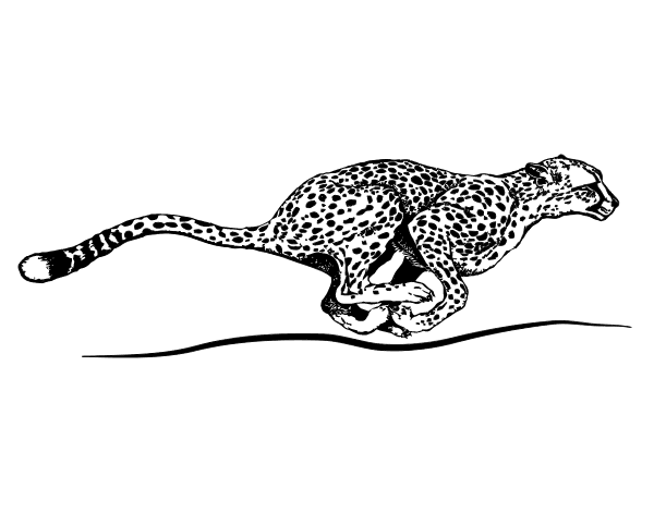 Malvorlage: Gepard (Tiere) #7879 - Kostenlose Malvorlagen zum Ausdrucken