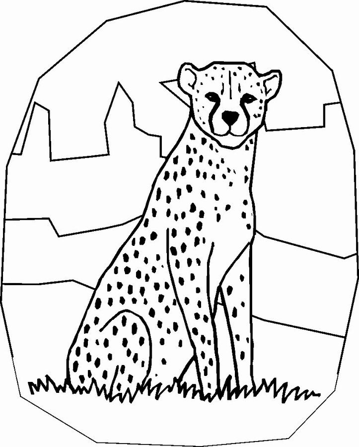 Malvorlage: Gepard (Tiere) #7882 - Kostenlose Malvorlagen zum Ausdrucken