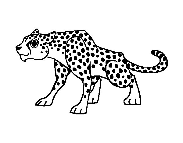 Malvorlage: Gepard (Tiere) #7892 - Kostenlose Malvorlagen zum Ausdrucken