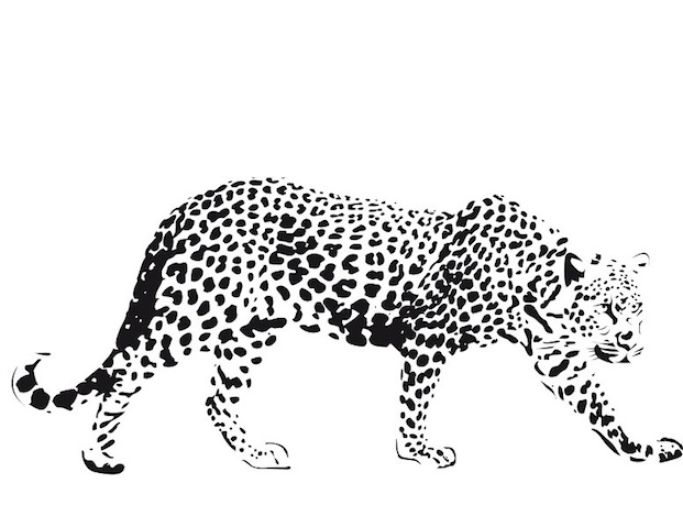Malvorlage: Gepard (Tiere) #7901 - Kostenlose Malvorlagen zum Ausdrucken