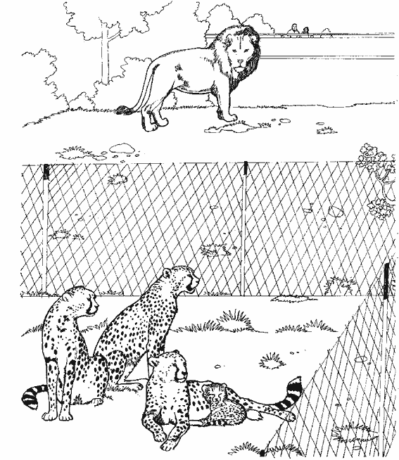 Malvorlage: Gepard (Tiere) #7925 - Kostenlose Malvorlagen zum Ausdrucken