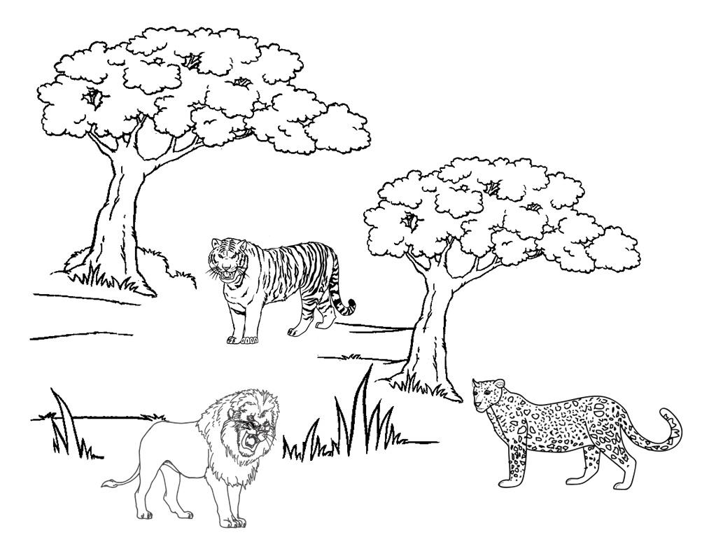 Malvorlage: Gepard (Tiere) #8005 - Kostenlose Malvorlagen zum Ausdrucken