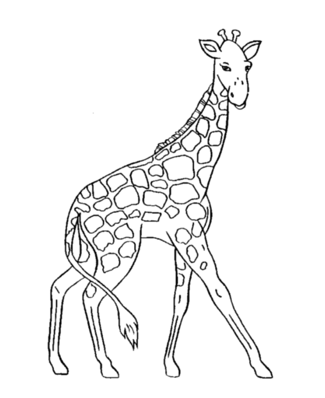 Malvorlage: Giraffe (Tiere) #7220 - Kostenlose Malvorlagen zum Ausdrucken