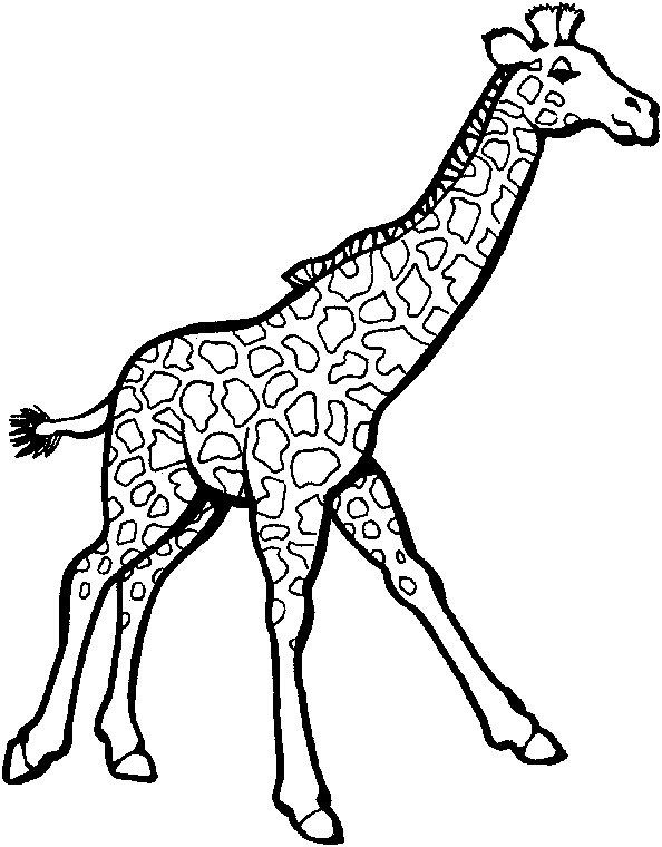 Malvorlage: Giraffe (Tiere) #7246 - Kostenlose Malvorlagen zum Ausdrucken