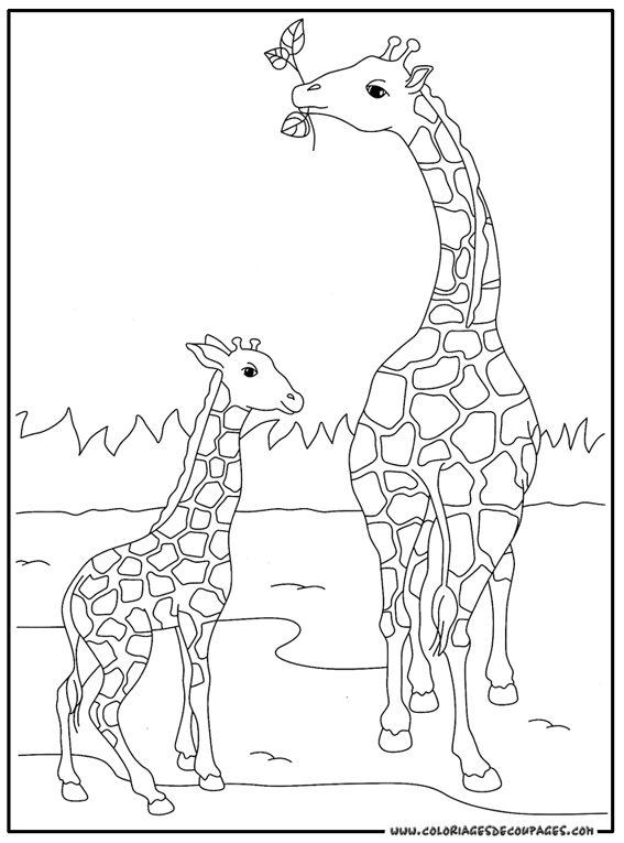 Malvorlage: Giraffe (Tiere) #7248 - Kostenlose Malvorlagen zum Ausdrucken