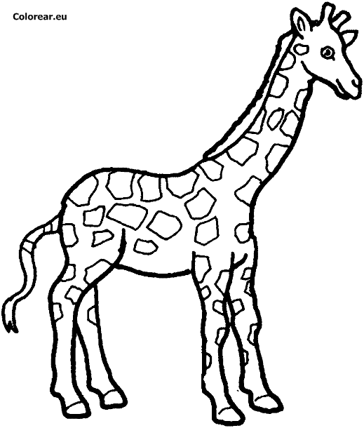 Malvorlage: Giraffe (Tiere) #7261 - Kostenlose Malvorlagen zum Ausdrucken