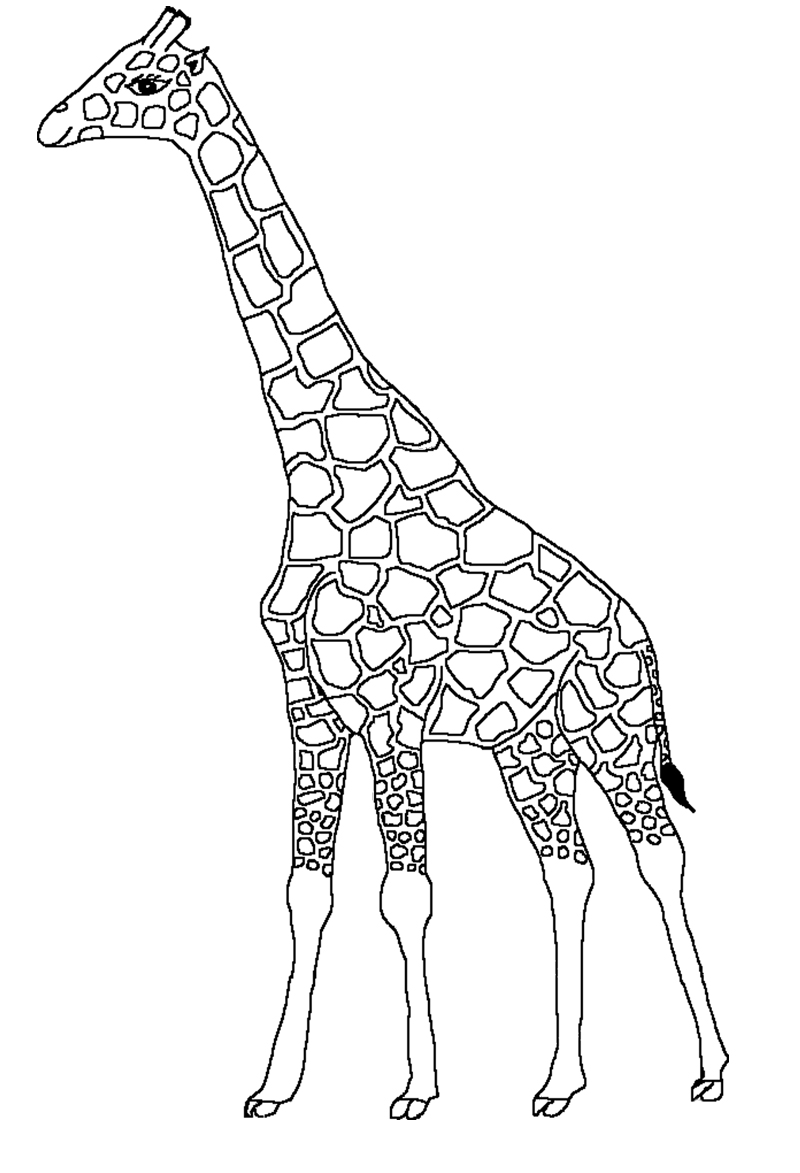 Malvorlage: Giraffe (Tiere) #7275 - Kostenlose Malvorlagen zum Ausdrucken