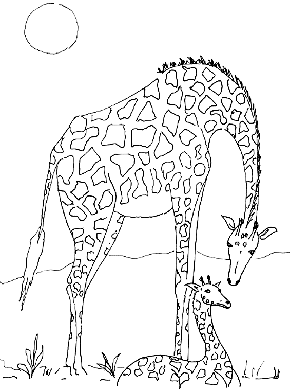 Malvorlage: Giraffe (Tiere) #7302 - Kostenlose Malvorlagen zum Ausdrucken