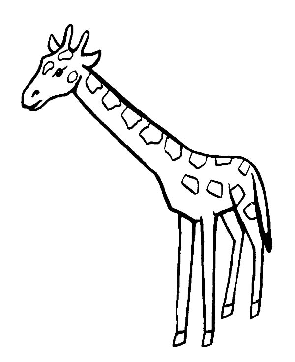 Malvorlage: Giraffe (Tiere) #7351 - Kostenlose Malvorlagen zum Ausdrucken