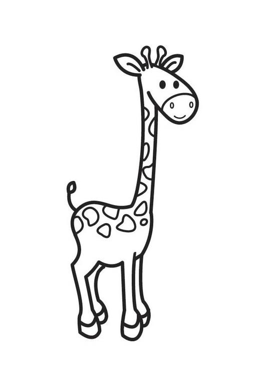 Malvorlage: Giraffe (Tiere) #7357 - Kostenlose Malvorlagen zum Ausdrucken