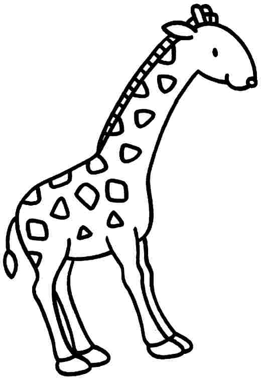 Malvorlage: Giraffe (Tiere) #7367 - Kostenlose Malvorlagen zum Ausdrucken