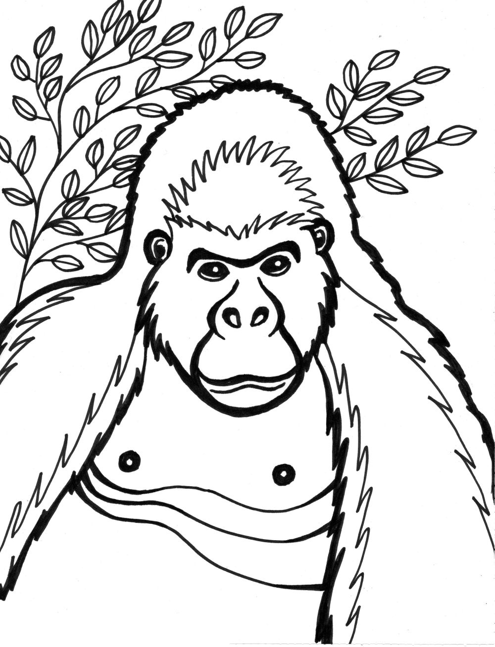 Malvorlage: Gorilla (Tiere) #7431 - Kostenlose Malvorlagen zum Ausdrucken