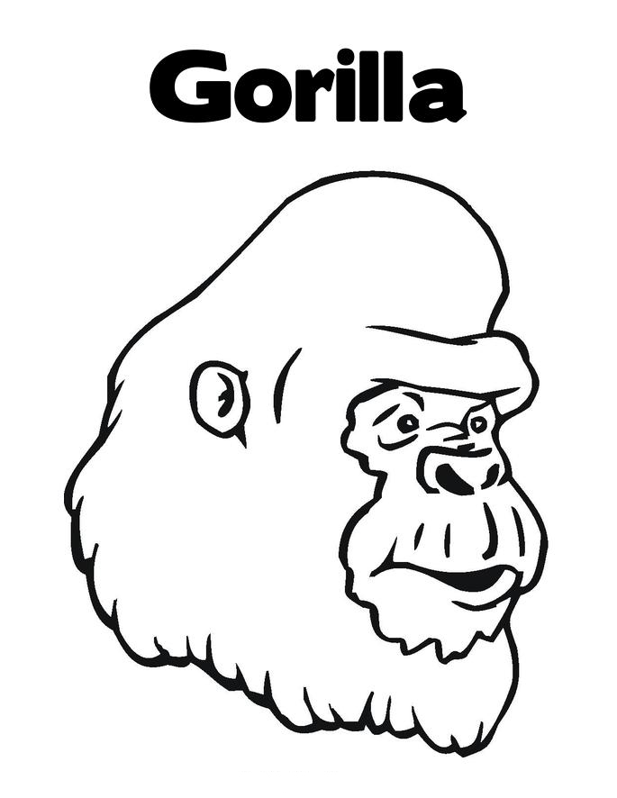 Malvorlage: Gorilla (Tiere) #7443 - Kostenlose Malvorlagen zum Ausdrucken