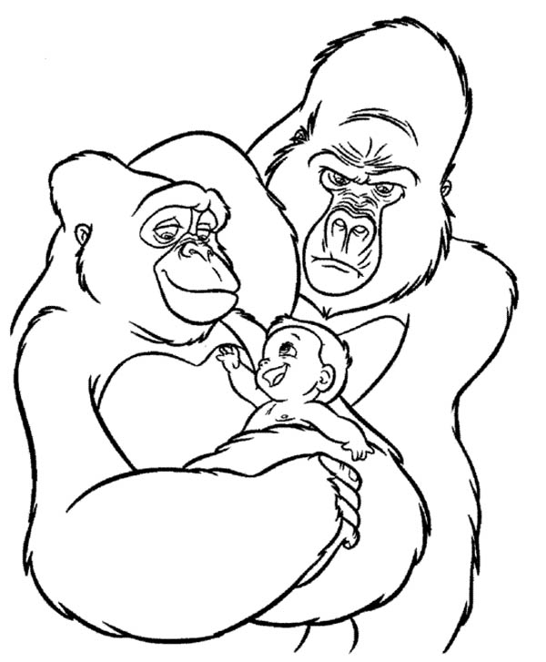 Malvorlage: Gorilla (Tiere) #7522 - Kostenlose Malvorlagen zum Ausdrucken