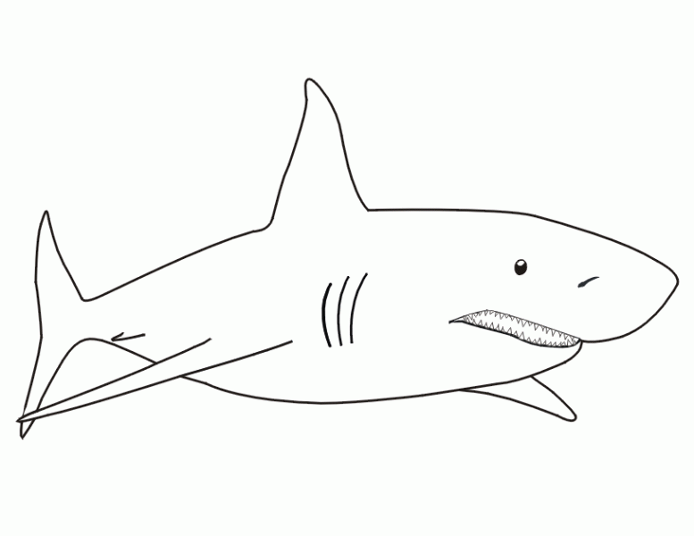 Malvorlage: Hai (Tiere) #14766 - Kostenlose Malvorlagen zum Ausdrucken