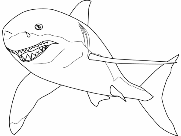 Malvorlage: Hai (Tiere) #14780 - Kostenlose Malvorlagen zum Ausdrucken