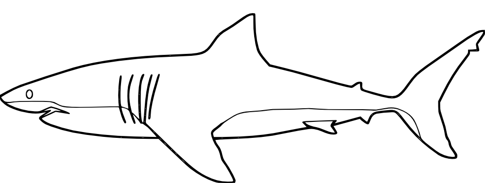 Malvorlage: Hai (Tiere) #14809 - Kostenlose Malvorlagen zum Ausdrucken