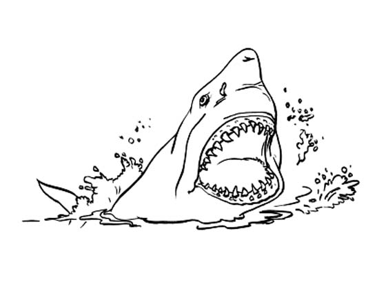 Malvorlage: Hai (Tiere) #14835 - Kostenlose Malvorlagen zum Ausdrucken
