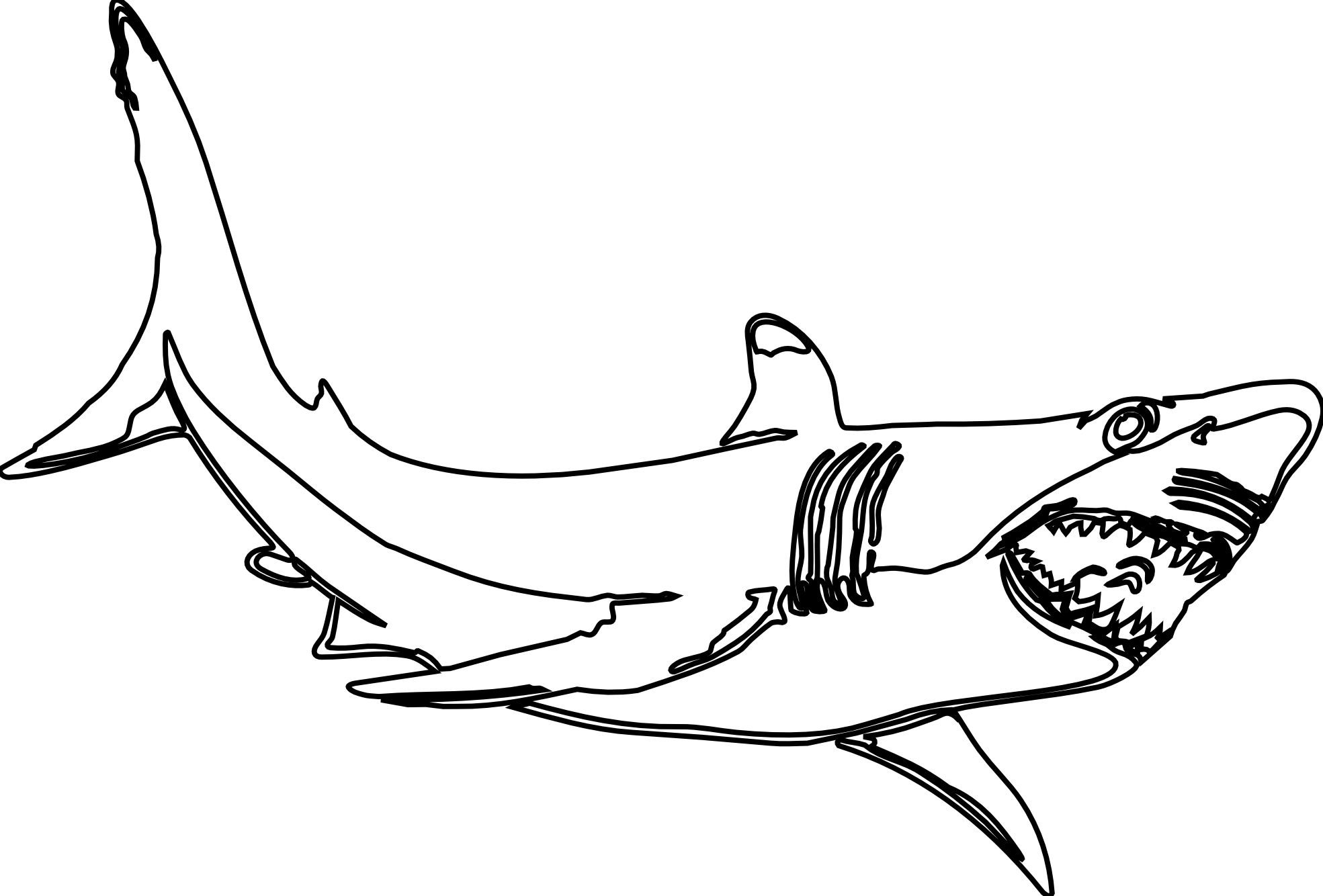 Malvorlage: Hai (Tiere) #14837 - Kostenlose Malvorlagen zum Ausdrucken