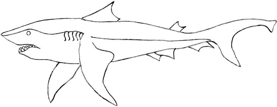 Malvorlage: Hai (Tiere) #14860 - Kostenlose Malvorlagen zum Ausdrucken