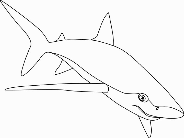 Malvorlage: Hai (Tiere) #14917 - Kostenlose Malvorlagen zum Ausdrucken