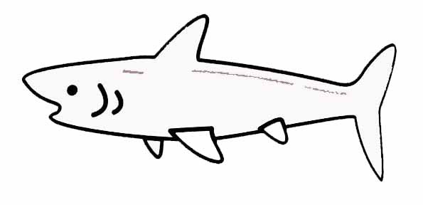 Malvorlage: Hai (Tiere) #14926 - Kostenlose Malvorlagen zum Ausdrucken