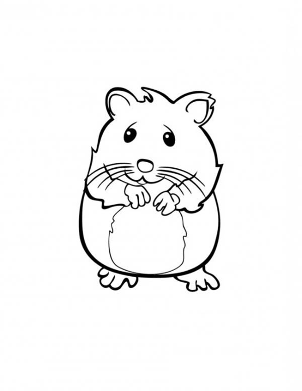Malvorlage: Hamster (Tiere) #8052 - Kostenlose Malvorlagen zum Ausdrucken