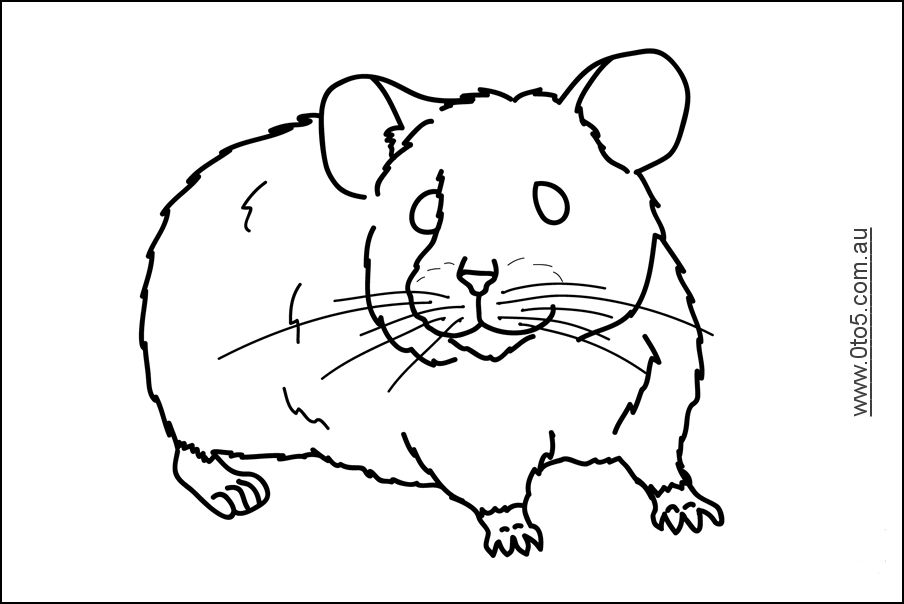 Malvorlage: Hamster (Tiere) #8103 - Kostenlose Malvorlagen zum Ausdrucken