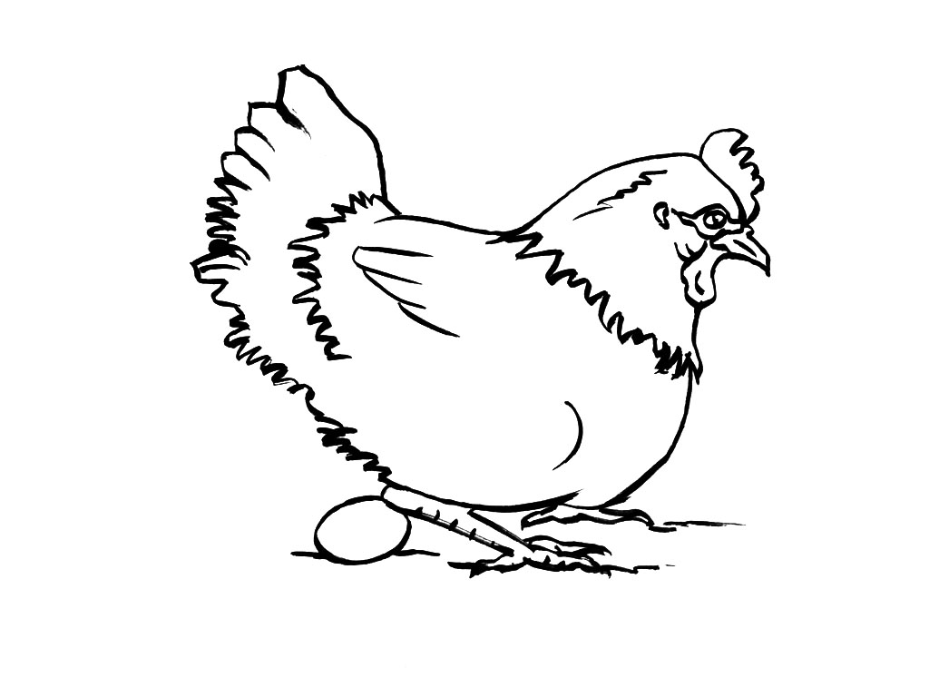 Malvorlage: Henne (Tiere) #17463 - Kostenlose Malvorlagen zum Ausdrucken