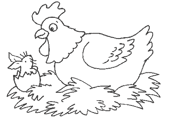 Malvorlage: Henne (Tiere) #17508 - Kostenlose Malvorlagen zum Ausdrucken