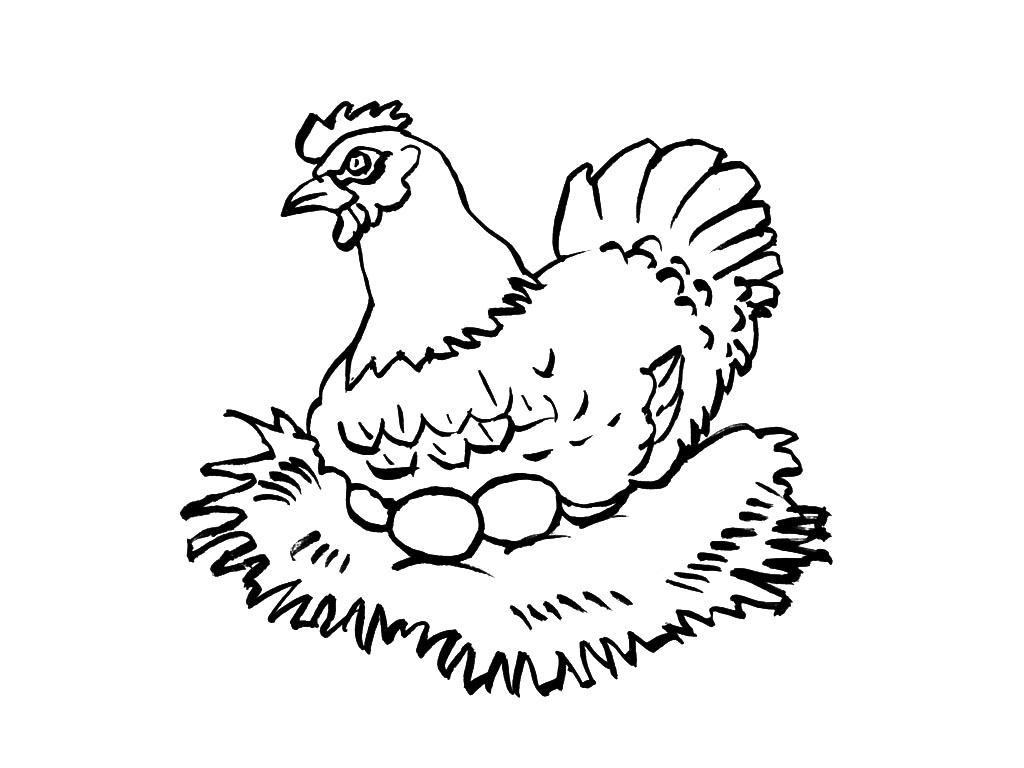 Malvorlage: Henne (Tiere) #17532 - Kostenlose Malvorlagen zum Ausdrucken