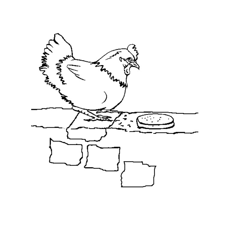 Malvorlage: Huhn (Tiere) #17230 - Kostenlose Malvorlagen zum Ausdrucken