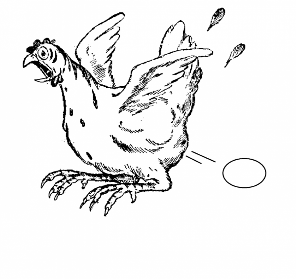 Malvorlage: Huhn (Tiere) #17256 - Kostenlose Malvorlagen zum Ausdrucken