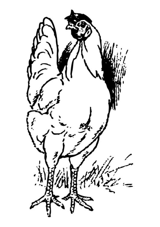 Malvorlage: Huhn (Tiere) #17271 - Kostenlose Malvorlagen zum Ausdrucken