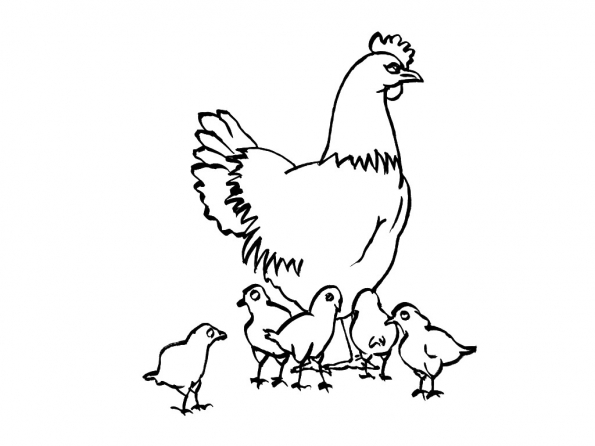 Malvorlage: Huhn (Tiere) #17281 - Kostenlose Malvorlagen zum Ausdrucken