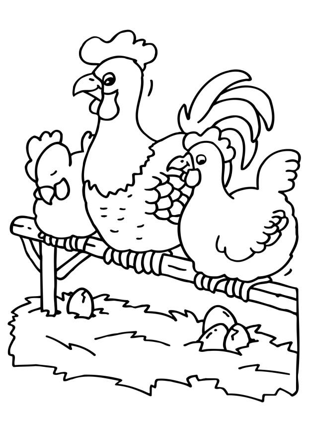 Malvorlage: Huhn (Tiere) #17392 - Kostenlose Malvorlagen zum Ausdrucken