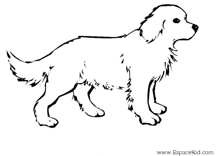 Malvorlage: Hund (Tiere) #14 - Kostenlose Malvorlagen zum Ausdrucken