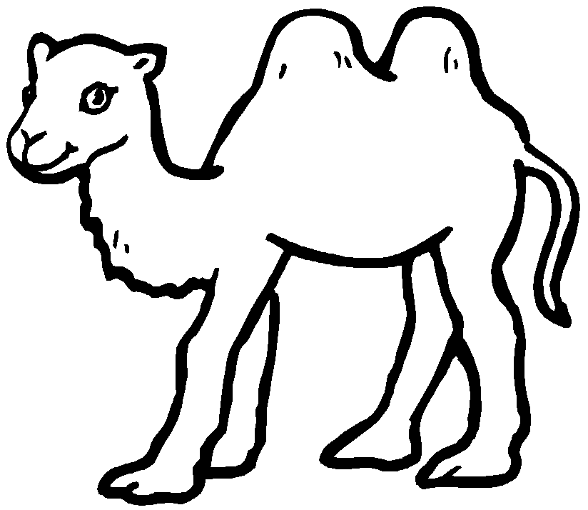 Malvorlage: Kamel (Tiere) #1661 - Kostenlose Malvorlagen zum Ausdrucken