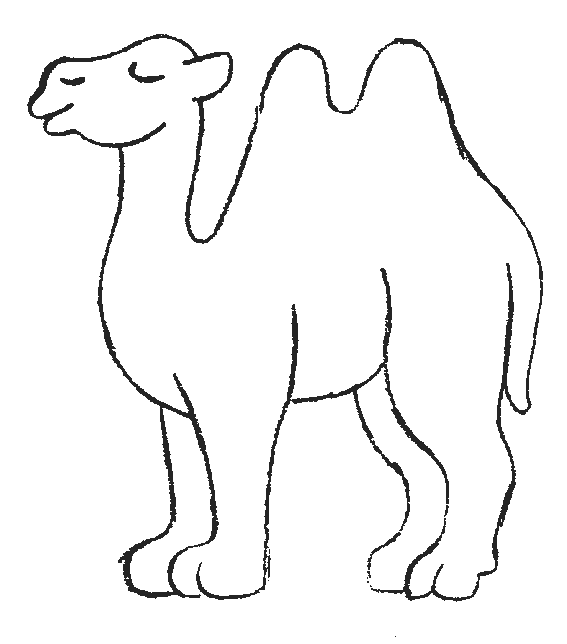 Malvorlage: Kamel (Tiere) #1664 - Kostenlose Malvorlagen zum Ausdrucken