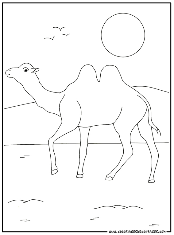 Malvorlage: Kamel (Tiere) #1672 - Kostenlose Malvorlagen zum Ausdrucken